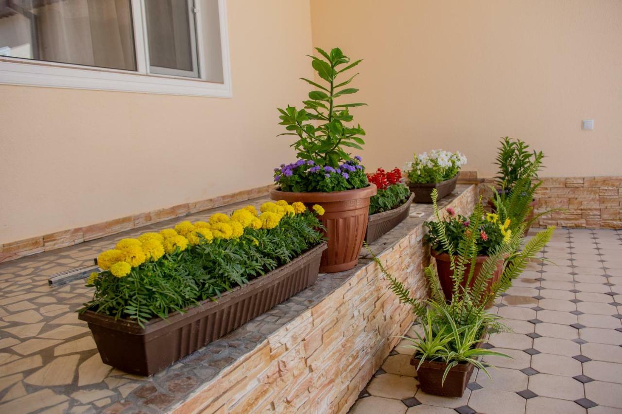 Hostel Bukhara Gold Τασκένδη Εξωτερικό φωτογραφία
